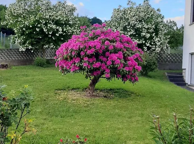 Apartmán Fuelbier Oberzissen
