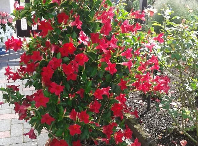 Fuelbier Apartmán Oberzissen